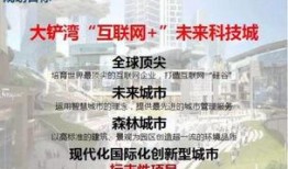深圳腾讯公司最新爆料,深圳创新引擎背后的科技力量